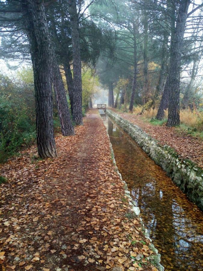 Апартаменты La Laguna Лагуна-де-Дуэро Экстерьер фото